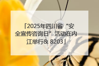 2025年四川省“安全宣传咨询日”活动在内江举行& 8203