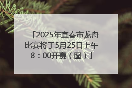2025年宜春市龙舟比赛将于5月25日上午8：00开赛（图）