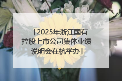 2025年浙江国有控股上市公司集体业绩说明会在杭举办