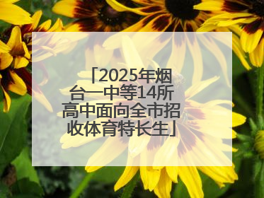 2025年烟台一中等14所高中面向全市招收体育特长生