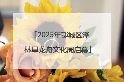 2025年鄂城区泽林旱龙舟文化周启幕