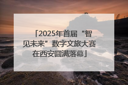 2025年首届“智见未来”数字文旅大赛在西安圆满落幕