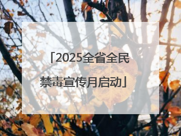 2025全省全民禁毒宣传月启动