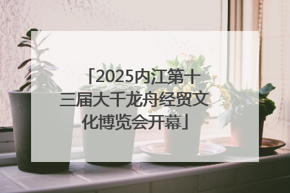 2025内江第十三届大千龙舟经贸文化博览会开幕