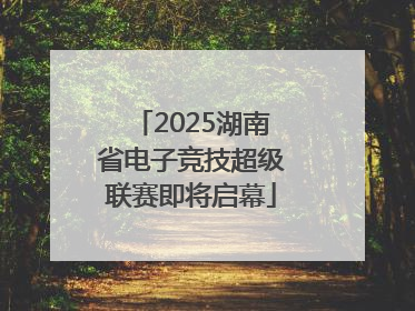 2025湖南省电子竞技超级联赛即将启幕