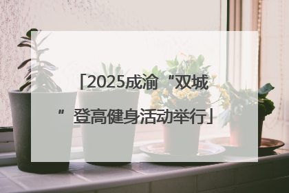 2025成渝“双城”登高健身活动举行