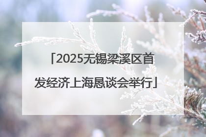 2025无锡梁溪区首发经济上海恳谈会举行
