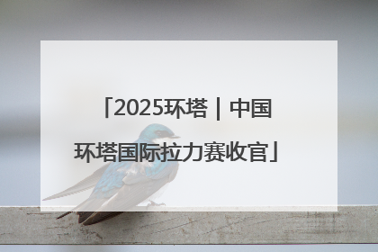 2025环塔｜中国环塔国际拉力赛收官