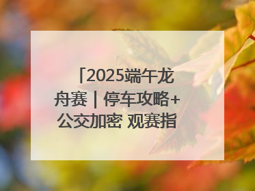 2025端午龙舟赛｜停车攻略+公交加密 观赛指南来了！