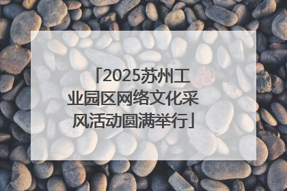 2025苏州工业园区网络文化采风活动圆满举行