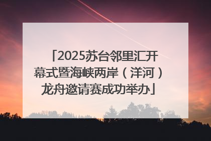 2025苏台邻里汇开幕式暨海峡两岸（洋河）龙舟邀请赛成功举办