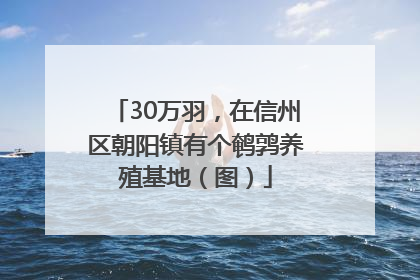 30万羽，在信州区朝阳镇有个鹌鹑养殖基地（图）