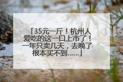 35元一斤！杭州人爱吃的这一口上市了！一年只卖几天，去晚了根本买不到……