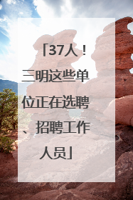 37人！三明这些单位正在选聘、招聘工作人员