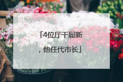 4位厅干履新，他任代市长