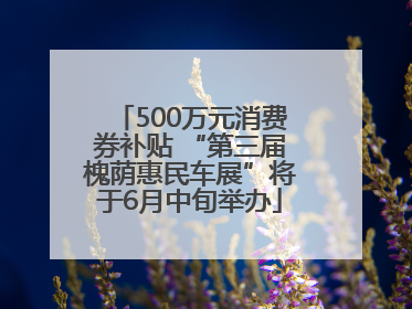 500万元消费券补贴 “第三届槐荫惠民车展”将于6月中旬举办
