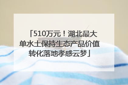 510万元！湖北最大单水土保持生态产品价值转化落地孝感云梦