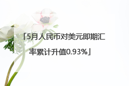 5月人民币对美元即期汇率累计升值0.93%