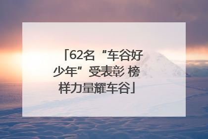 62名“车谷好少年”受表彰 榜样力量耀车谷