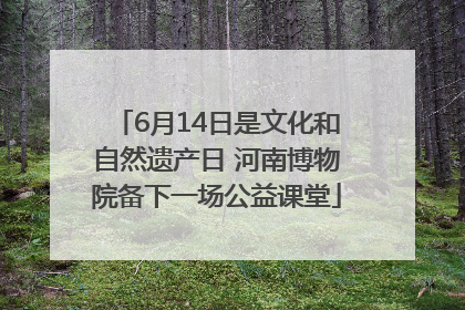 6月14日是文化和自然遗产日 河南博物院备下一场公益课堂