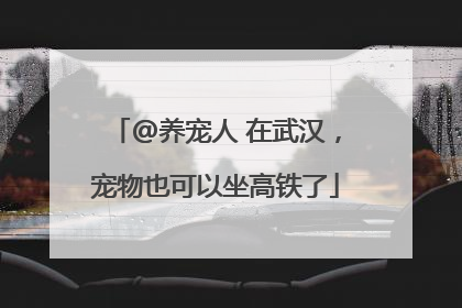 @养宠人 在武汉，宠物也可以坐高铁了