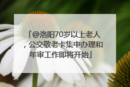 @洛阳70岁以上老人，公交敬老卡集中办理和年审工作即将开始