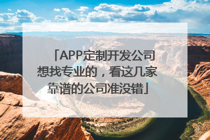 APP定制开发公司想找专业的，看这几家靠谱的公司准没错
