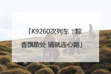 K9260次列车：粽香飘散处 铺就连心路