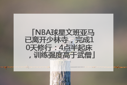 NBA球星文班亚马已离开少林寺，完成10天修行：4点半起床，训练强度高于武僧