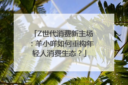 Z世代消费新主场：羊小咩如何重构年轻人消费生态？